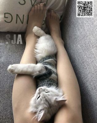 色婷婷av久久久久久久